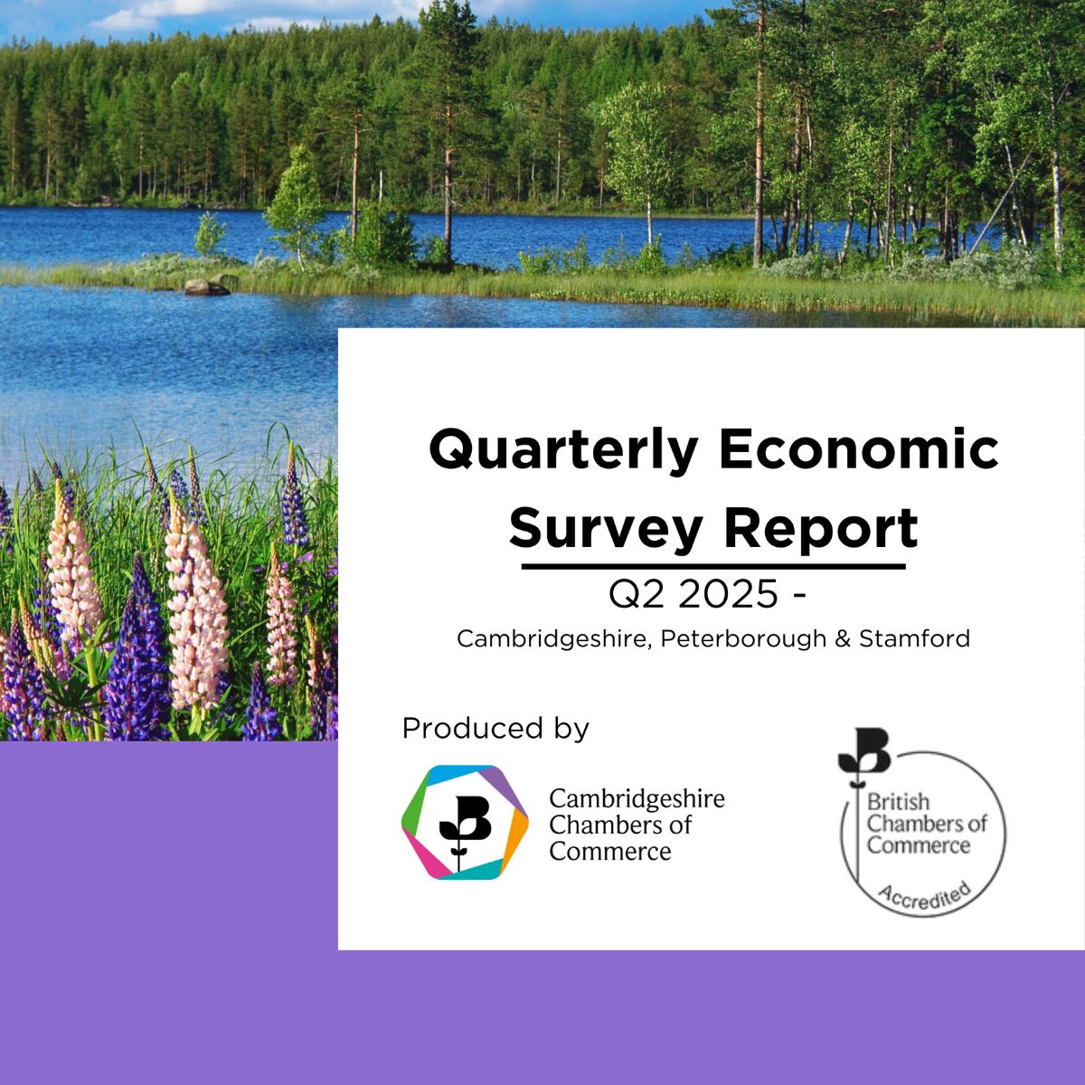 Business Sentiment Remains Under Strain Amid Persistent Cost Pressures and Global Uncertainty, Q2 Survey Reveals
